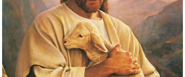 Jesus-Christ-Lamb-Mormon